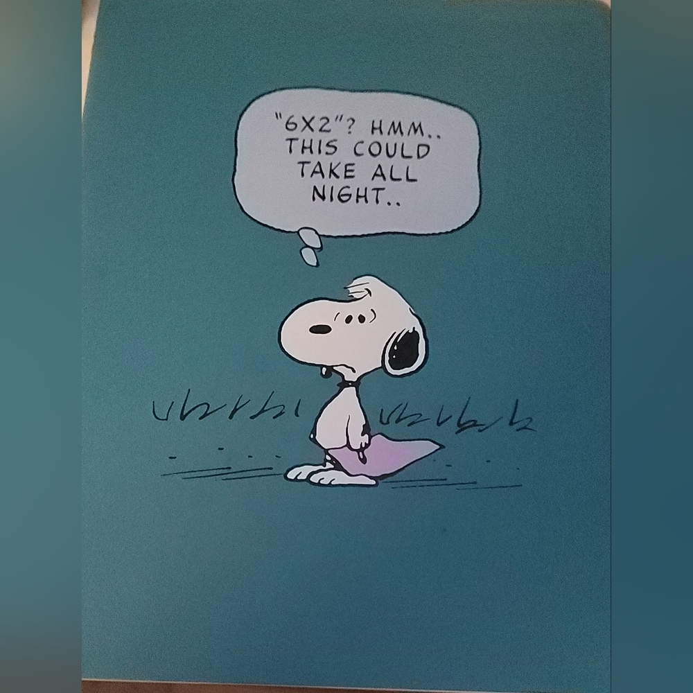Moleskine Notebook with Snoopy Design